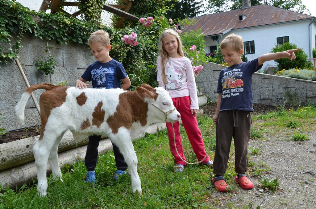 Ferienwohnung Vonwald Michelbach Buitenkant foto