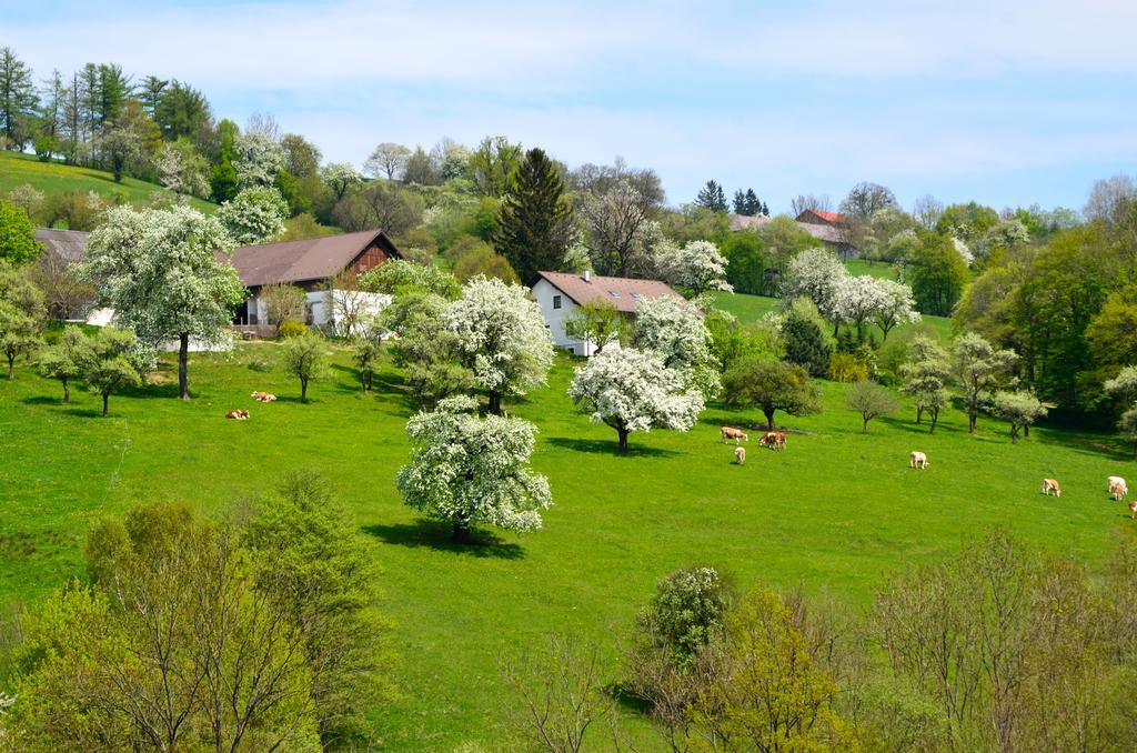 Ferienwohnung Vonwald Michelbach Buitenkant foto