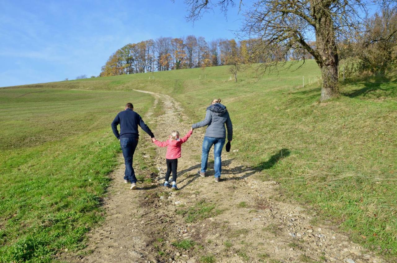 Ferienwohnung Vonwald Michelbach Buitenkant foto